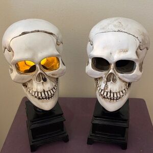 White Skull Decor with Black Base